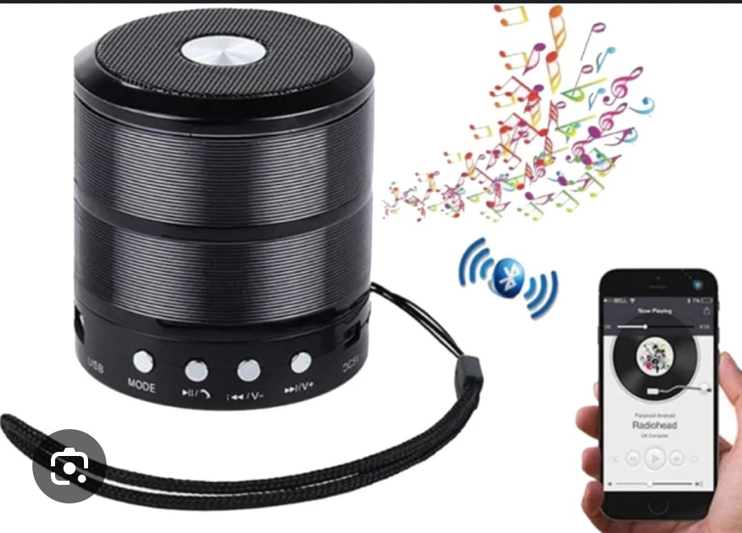 WS-887 Bluetooth Speaker