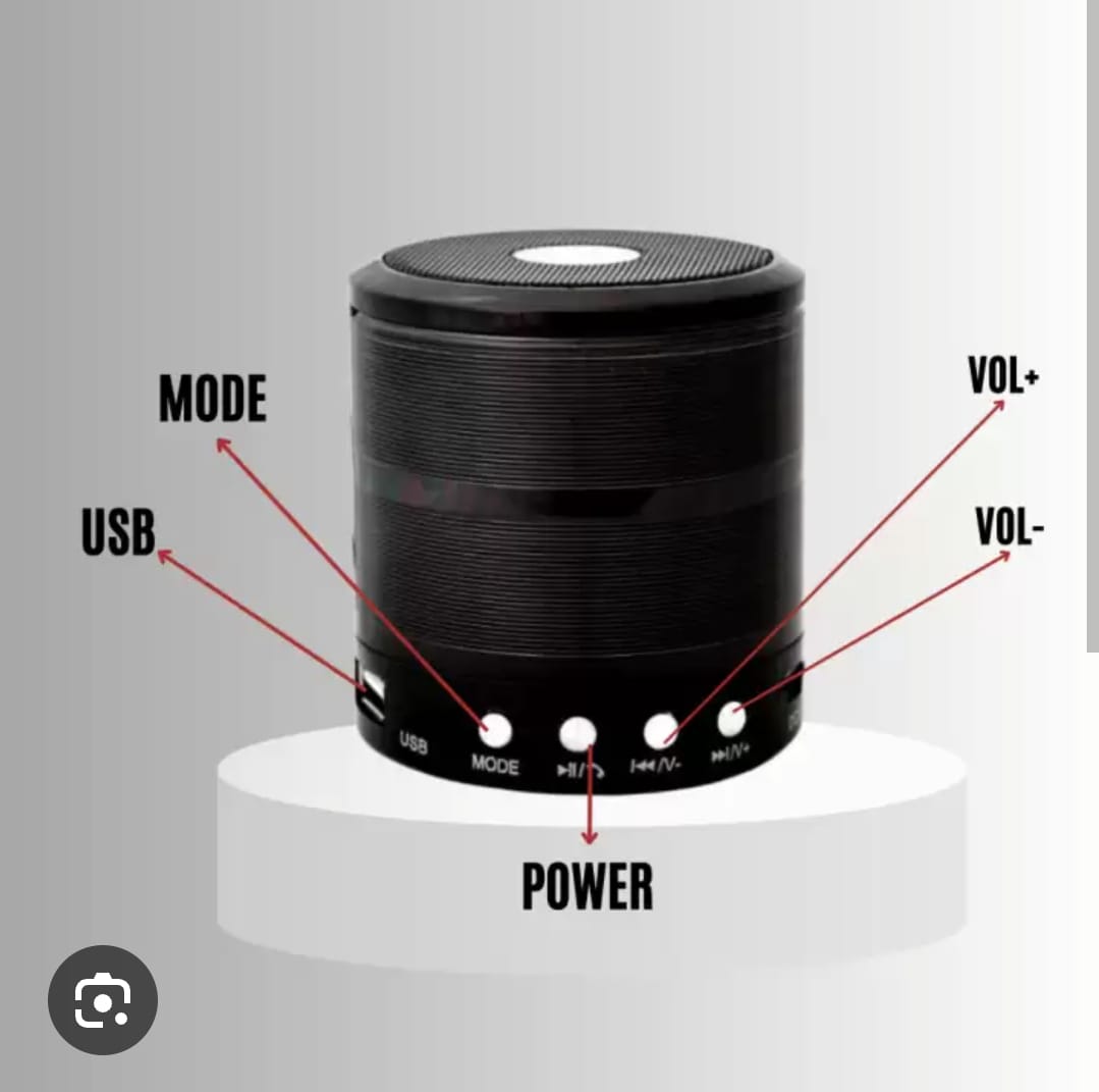 WS-887 Bluetooth Speaker